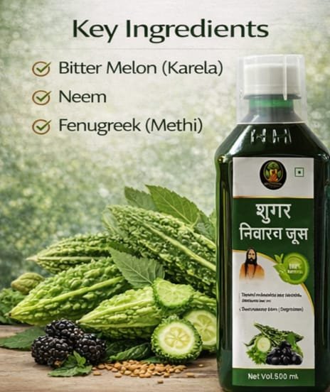 Sugar Nivaran Juice - Image 3